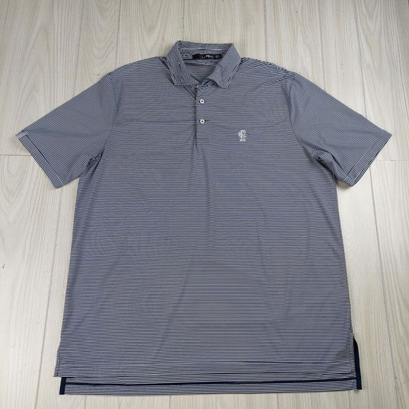 Ralph Lauren RLX Shirt Polo Mens XL TG Blue Striped Golf Wicking Stretch Comfort - Picture 1 of 7